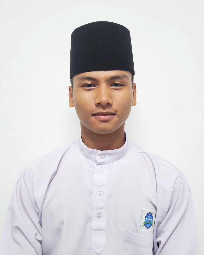 HAMIZ HAMKA